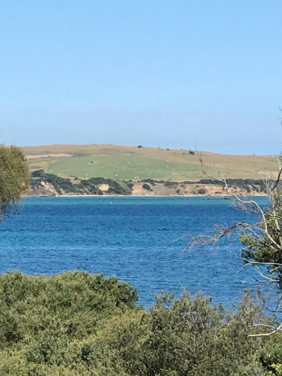 Вилла Bunya By The Sea Cape Woolamai Экстерьер фото